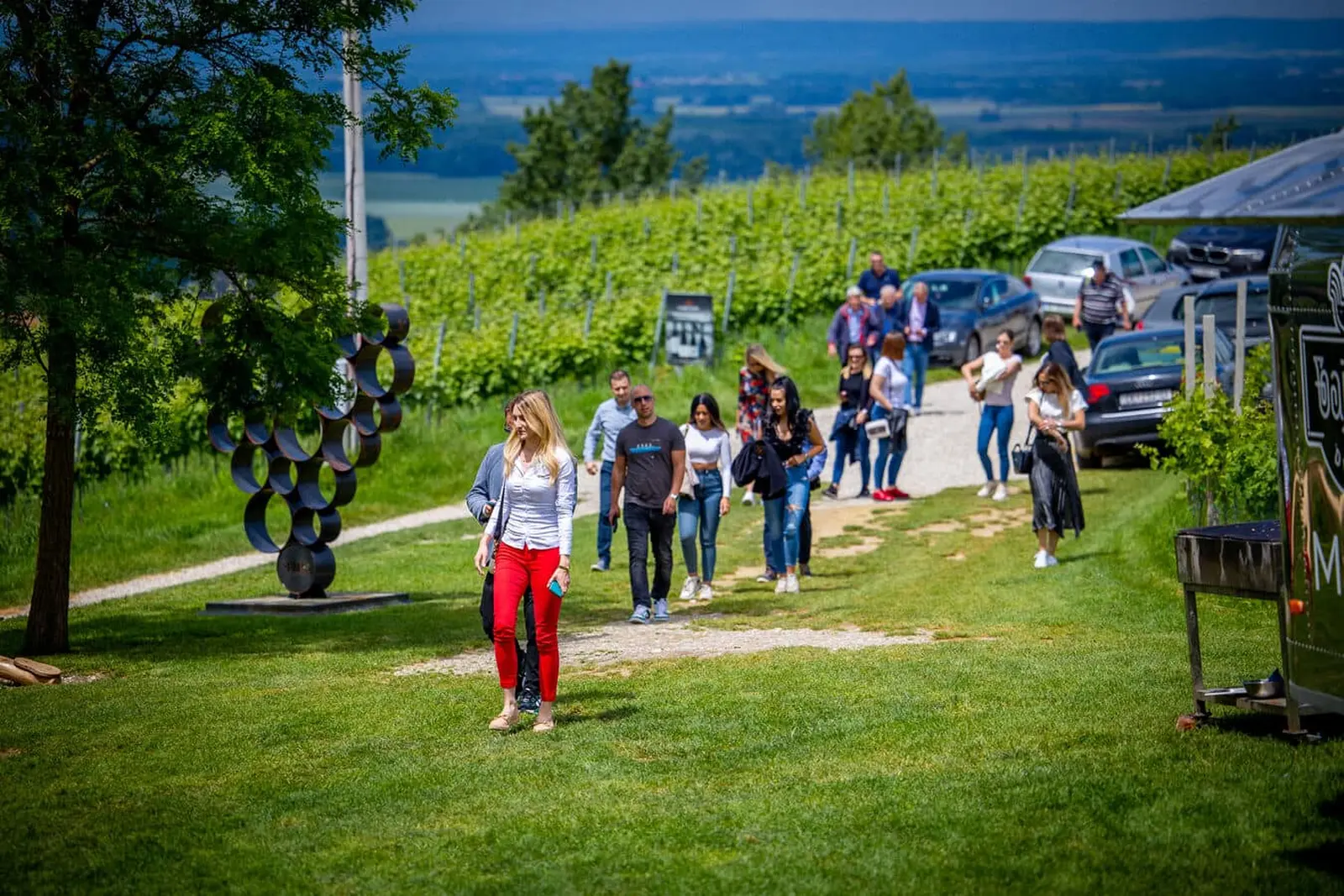 vinarija štampar Mađerkin breg vinarija štampar Mađerkin breg