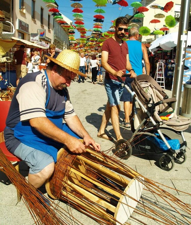 kosaracbrankopogorelec000531610