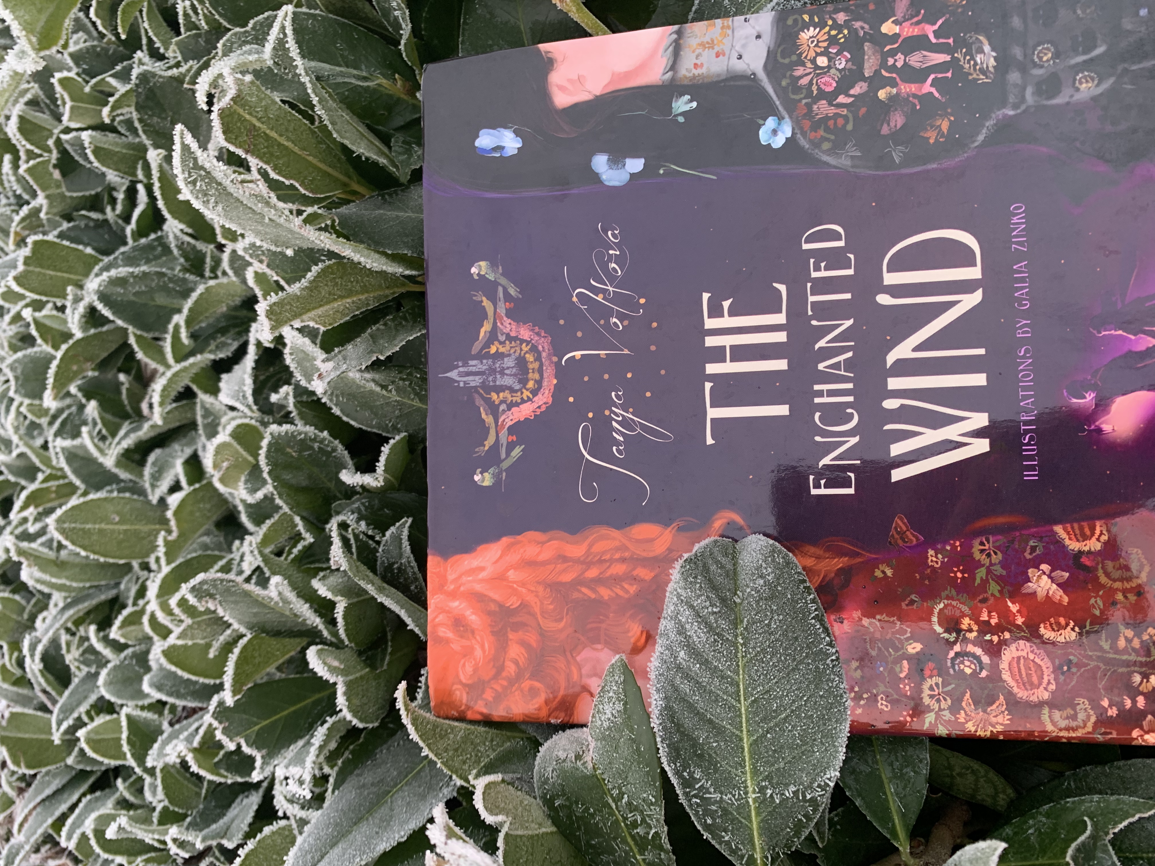 Umjetnica Galia Zinko i njezini radovi