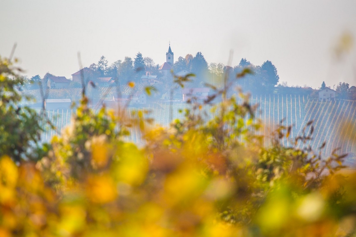 Jesenska rapsodija kroz objektiv Miroslave Novak