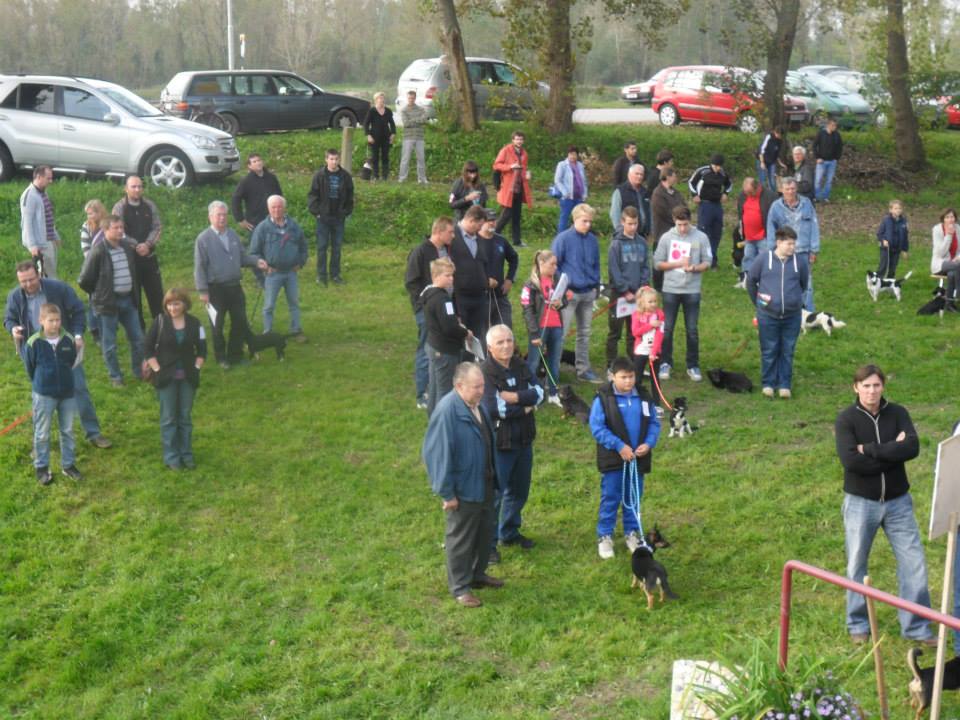 1069840632399917778332644331768