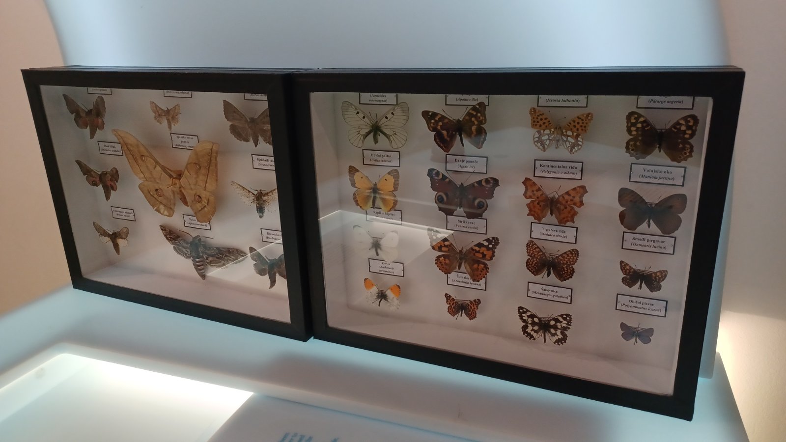 Noć muzeja u Centru Med dvemi vodami