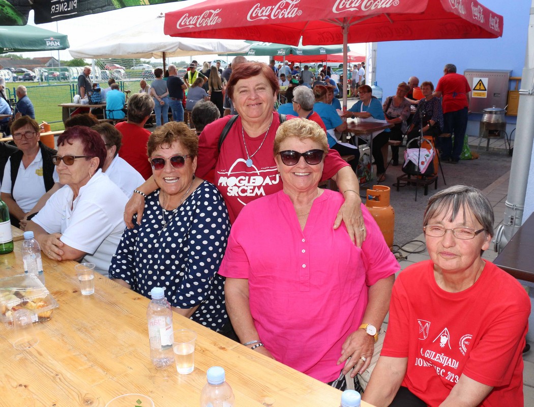 Gulašijada u Domašincu