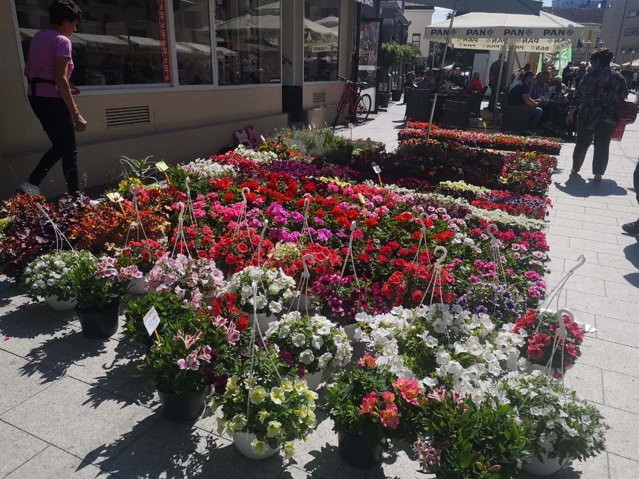 Festival cvijeća, jagoda i tradicije u Čakovcu