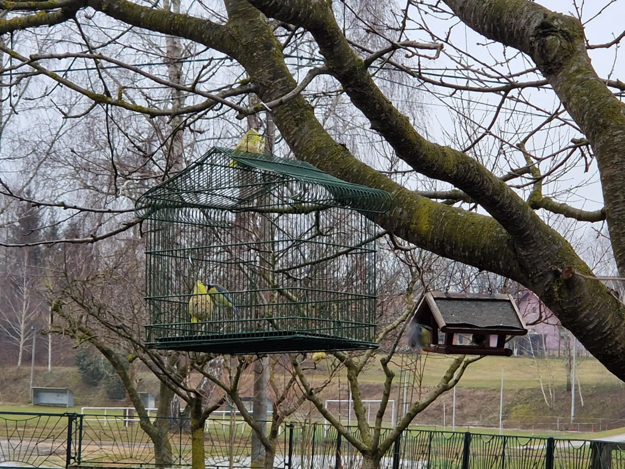 36924142-4194-44d6-94a6-3abfabefcef1