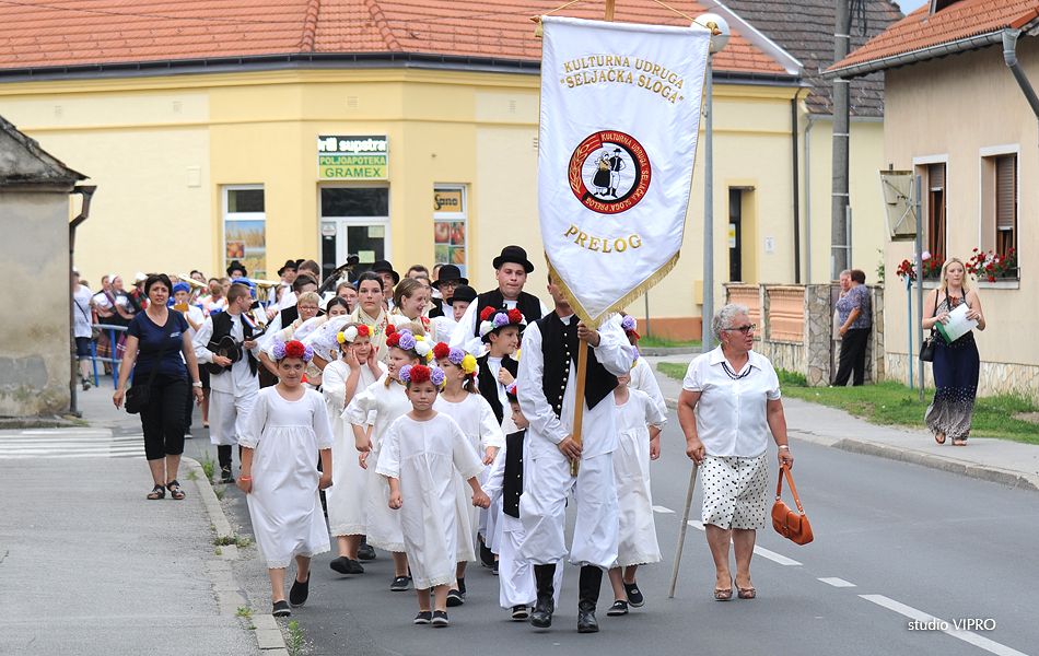 359115661dsc1776119450