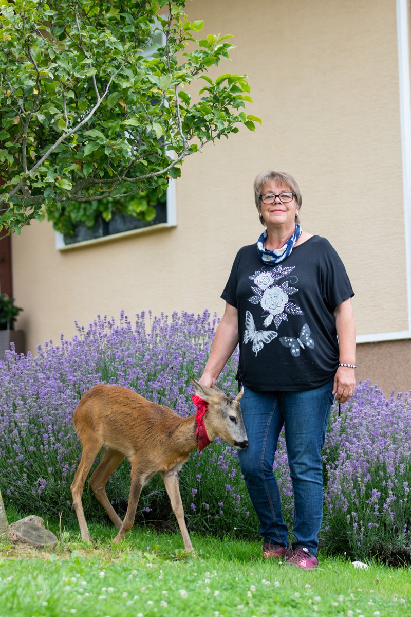 DIRLJIVA PRIČA Ivanka je prošle godine spasila polumrtvo lane. Danas je ono sretno u njezinom dvorištu