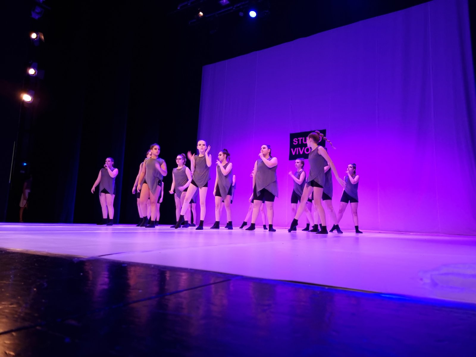 Zimska plesna produkcija