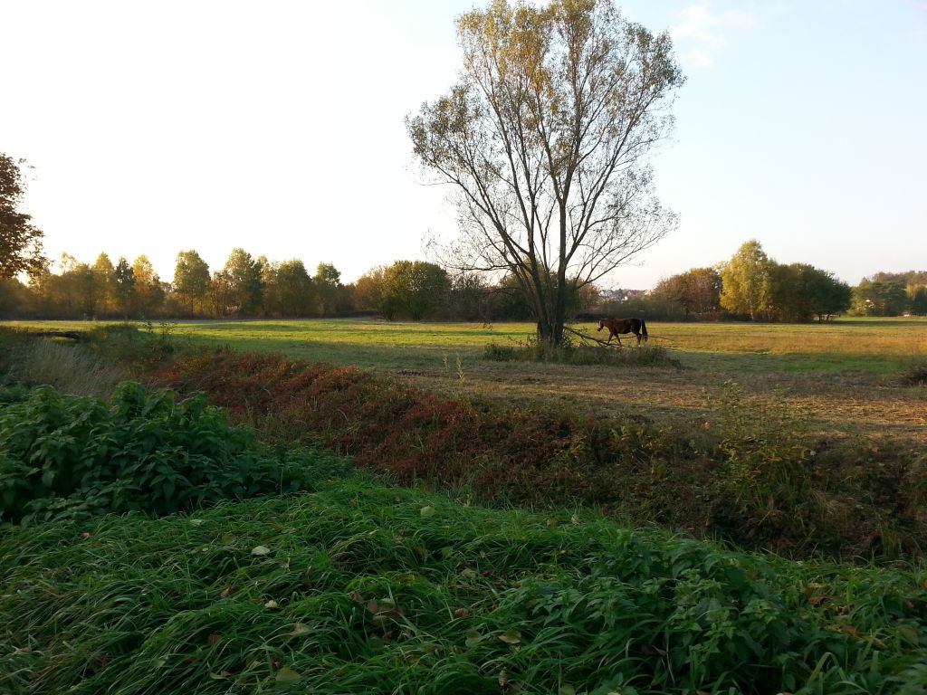 paulamandlimihovljanska886371