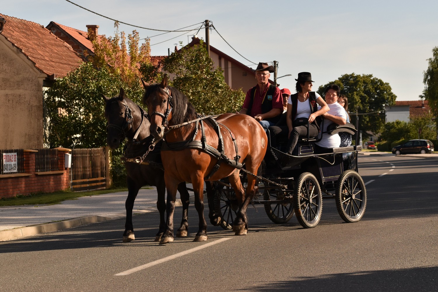 Dan Savske Vesi proslavljen uz tradicionalan mimohod mještana i udruga, zabavan program i besplatan grah