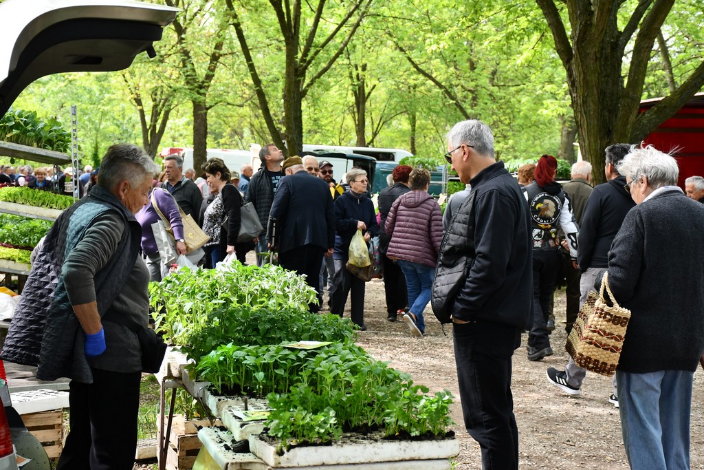 ČAKOVEČKI SAJAM SRIJEDOM Najveći interes i dalje vlada za presadnice
