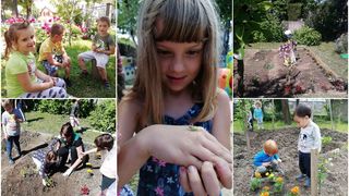 VRT U VRTIĆU DV Loptica iz Čakovca predstavlja botaničku misiju, zelenu oazu u centru grada