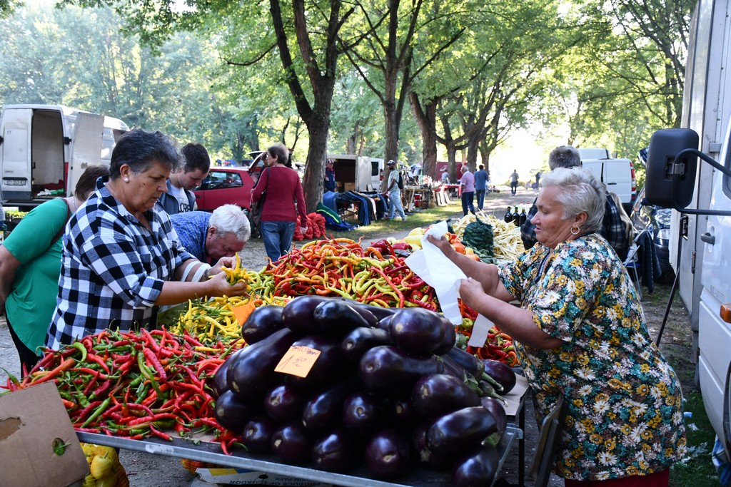 Čakovečki sajam (srijeda, 6.9.2023.)