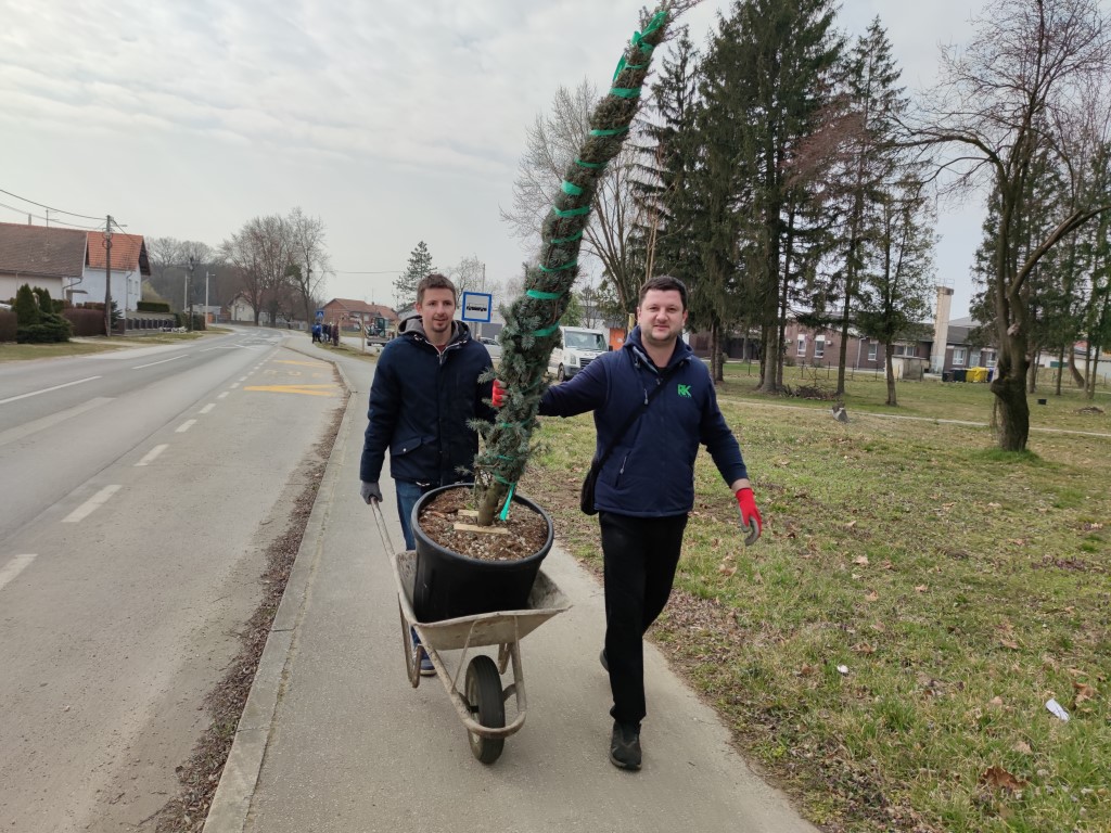 Belica, sadnja parka 2022