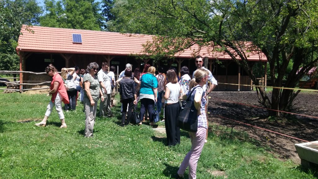 20170626130319249869