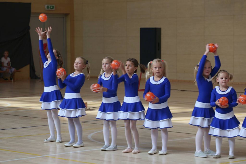 2204763710213080807591802593240