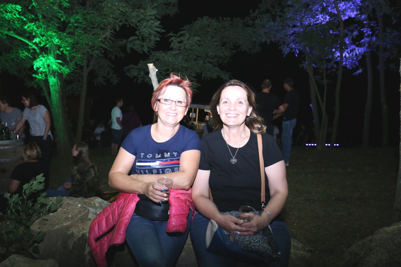 Odličan koncert Vatre u predivnom ambijentu Mađerkinog brega