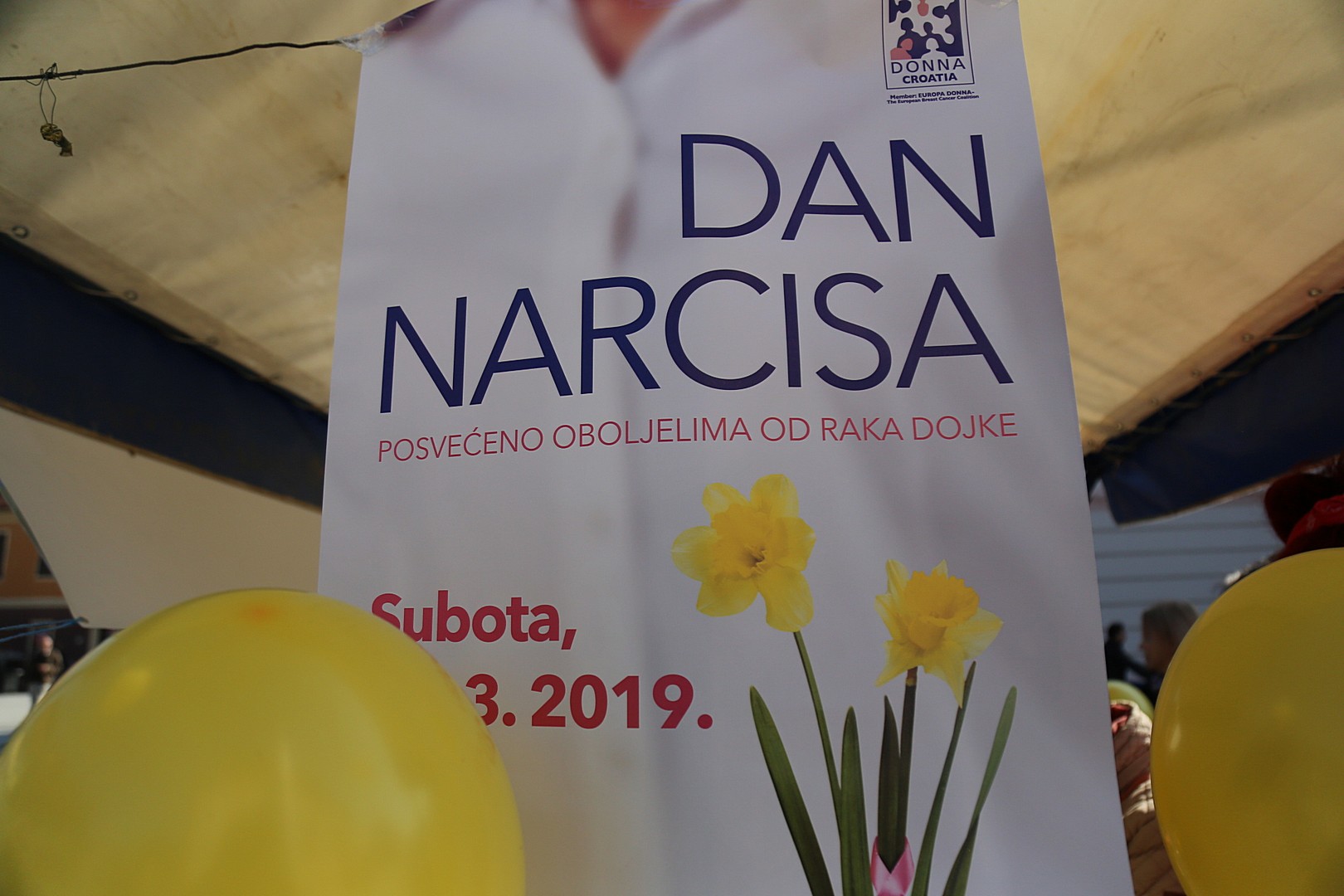 Dan narcisa – Međimurje obojeno u žuto