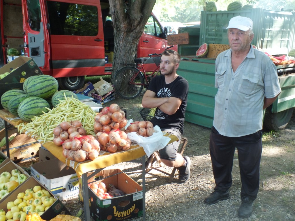 Image 5810913 (auto)