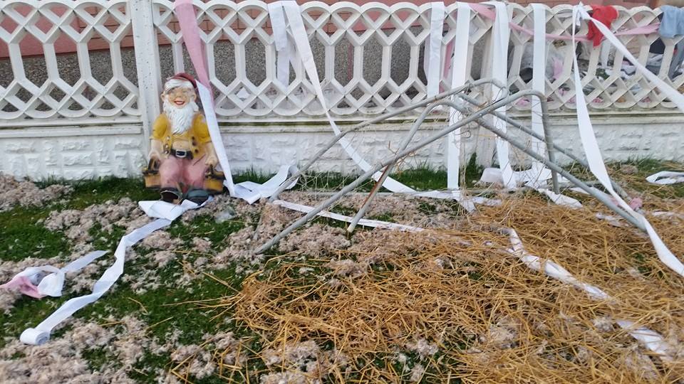 1293652699518124385208268909495