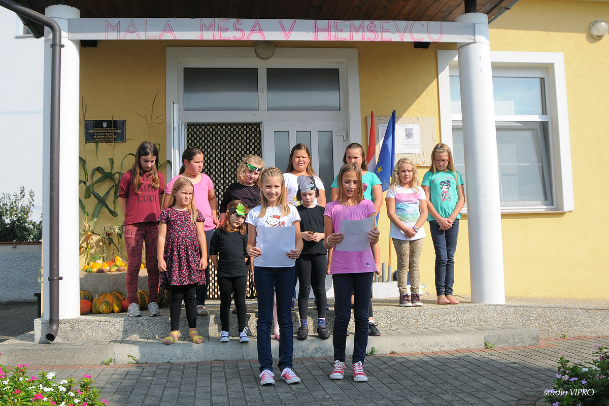 25319823wdsc3309741173