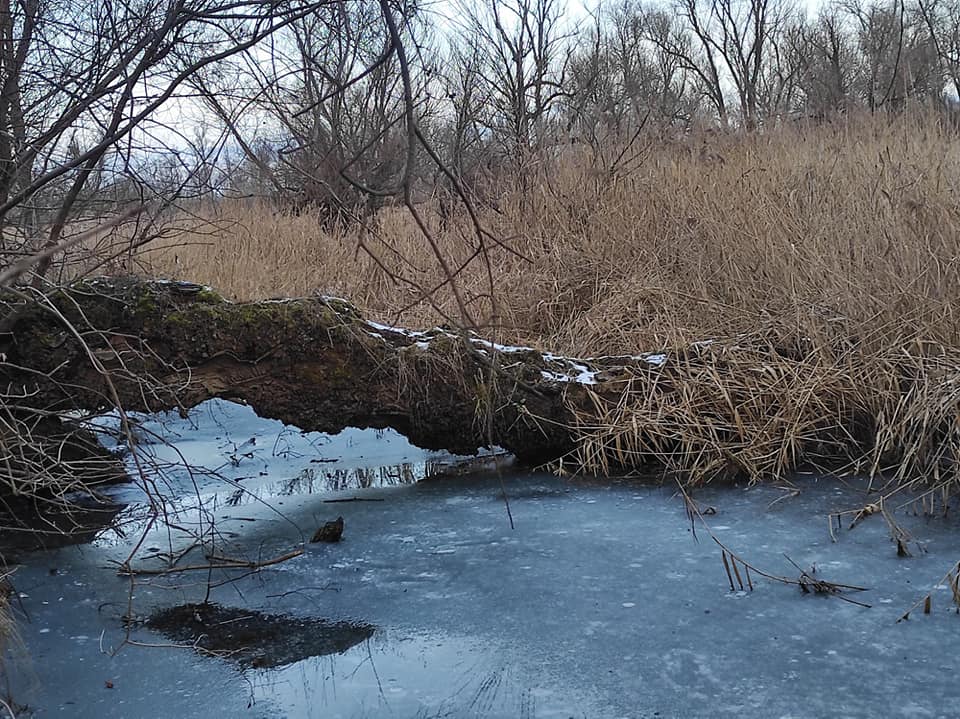 Mursko Središće i okolica u foto objektivu gradonačelnika Srpaka