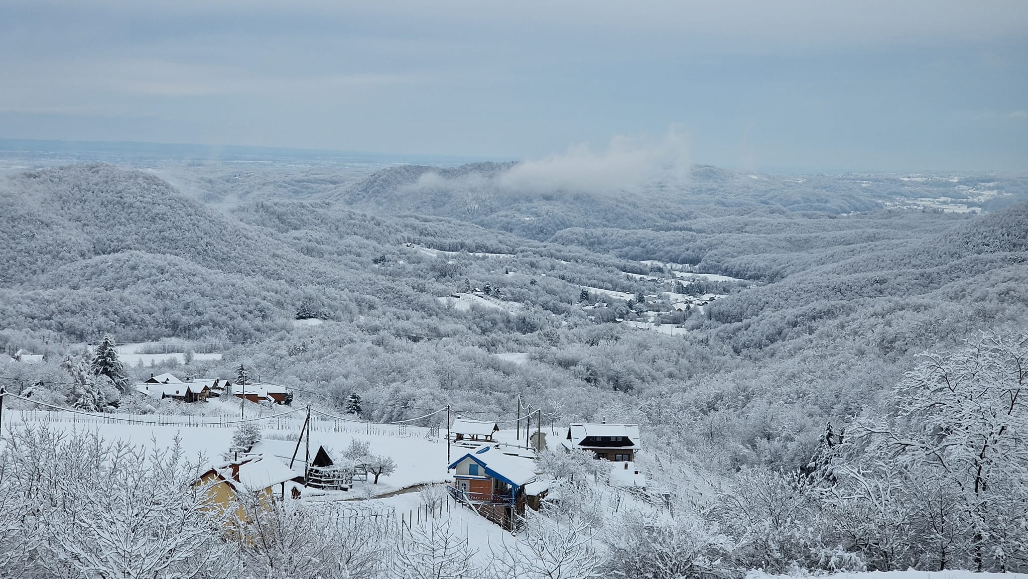 Image 5616145 (auto)