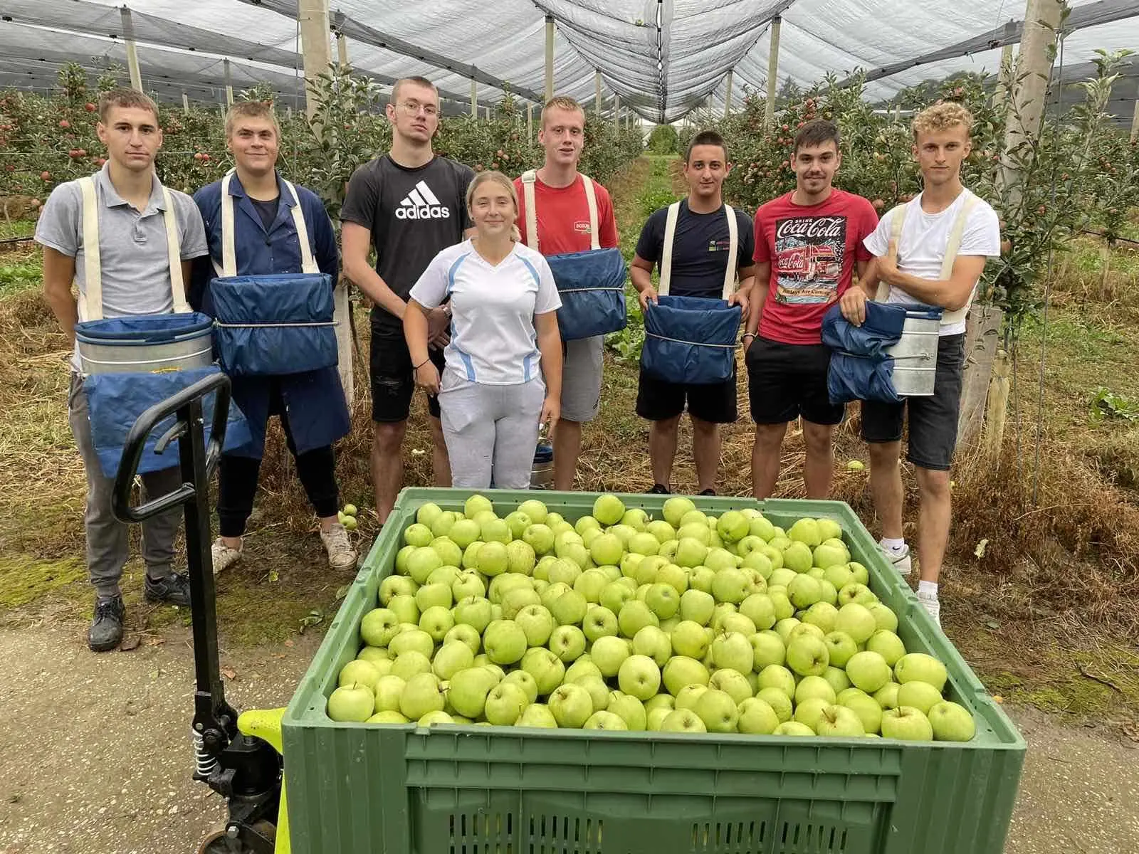 386313660_826993865886370_7621777843355367158_n 386313660_826993865886370_7621777843355367158_n