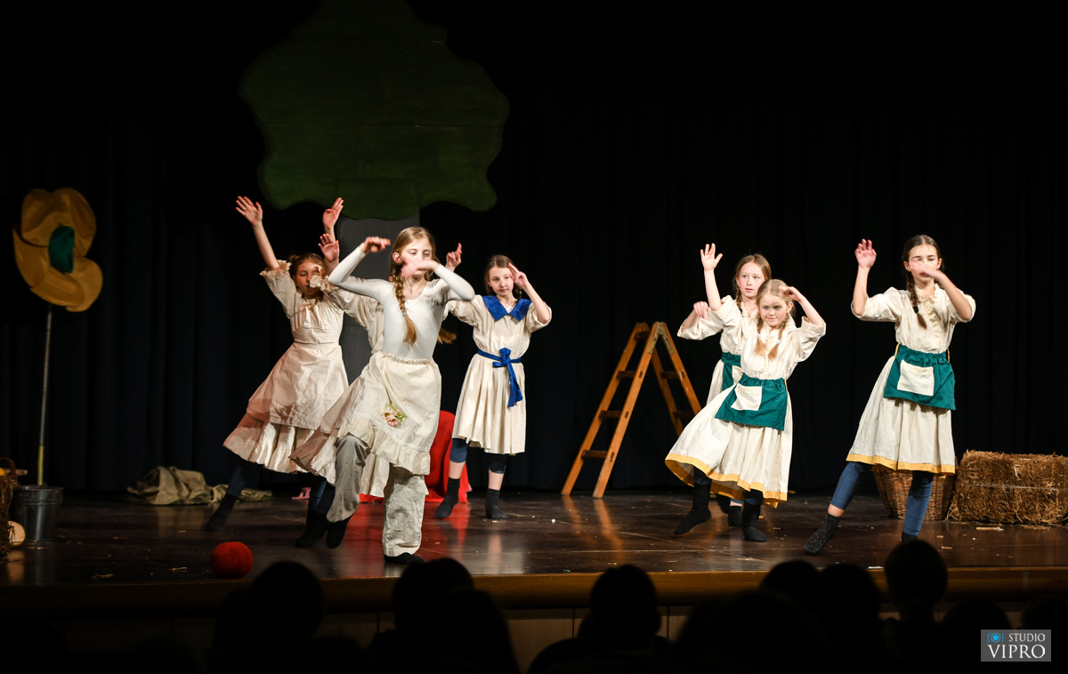 PRELOG Dječje gradsko kazalište Čakovec razveselilo publiku Doma kulture