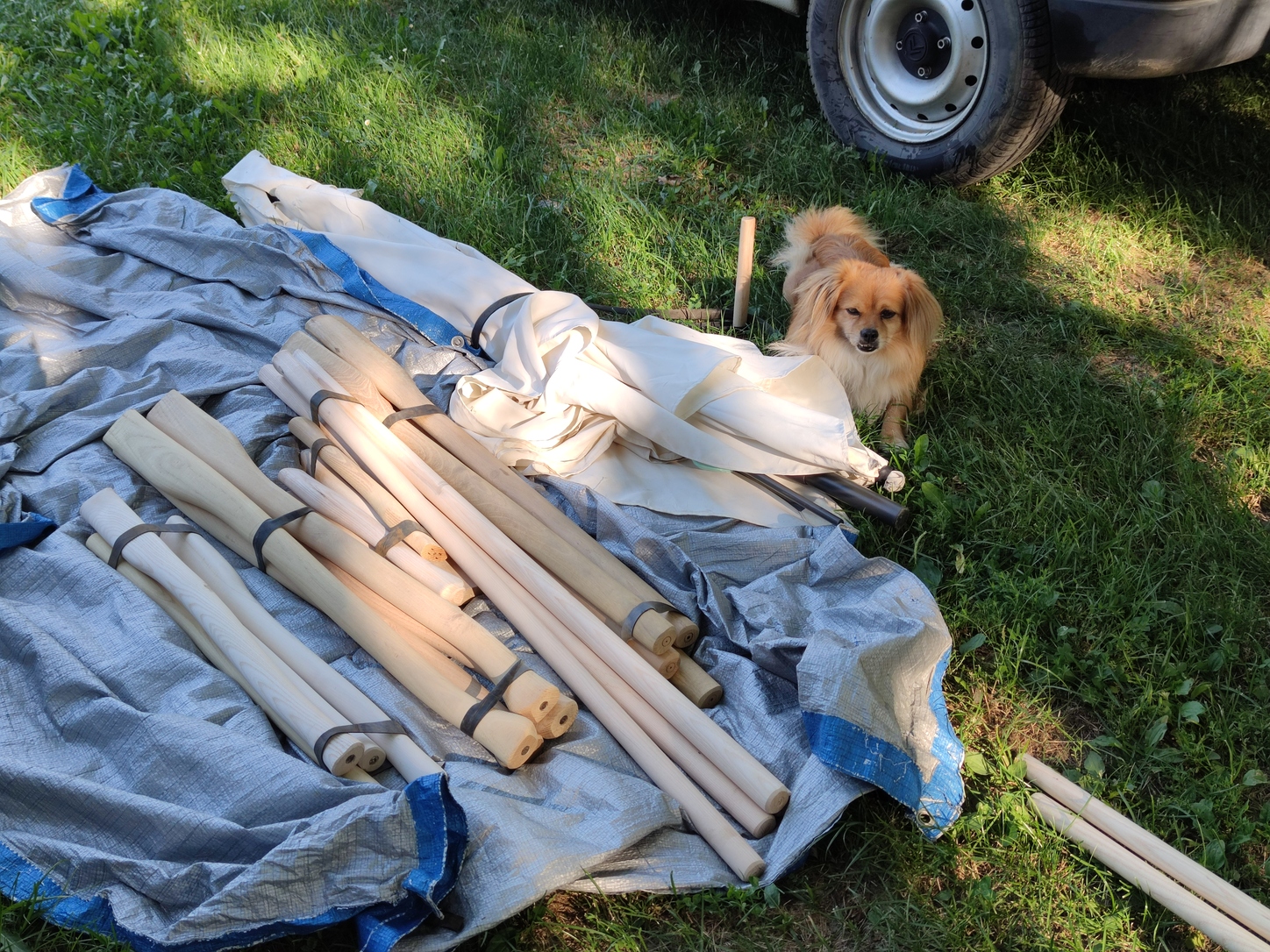 Image 5810829 (auto)