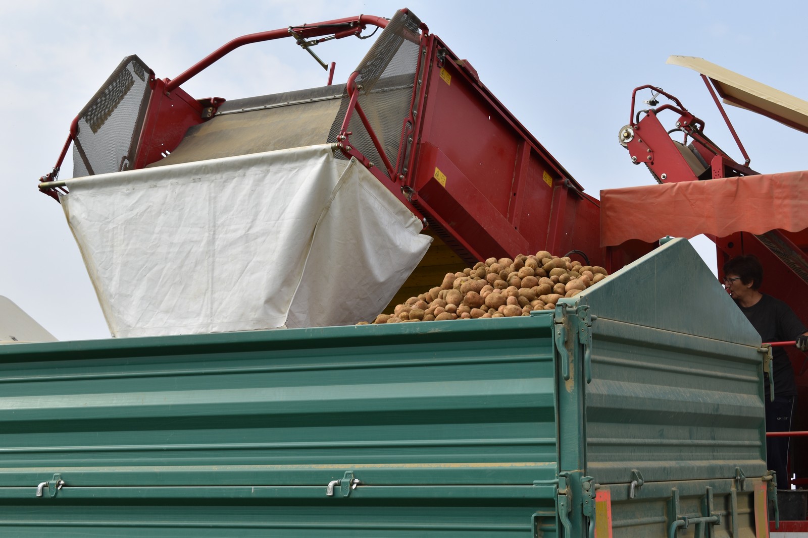 BERBA KRUMPIRA NA POLJIMA OBITELJI DRK Urod ispod prosjeka