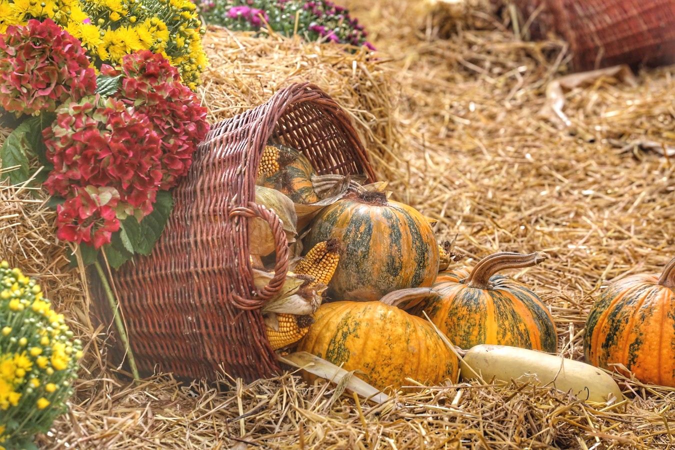 JESEN U GRADU ZRINSKIH Čakovec ‘obukao’ predivno jesensko ruho