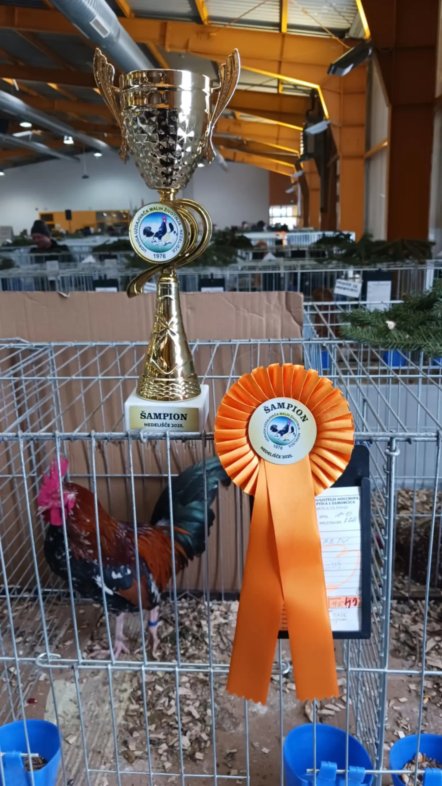 38ed3efc-c626-4098-9609-61aedd8b2283 38ed3efc-c626-4098-9609-61aedd8b2283