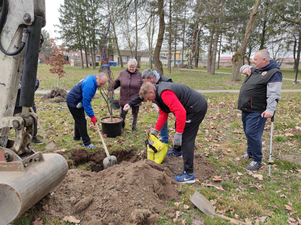 Belica, sadnja parka 2022