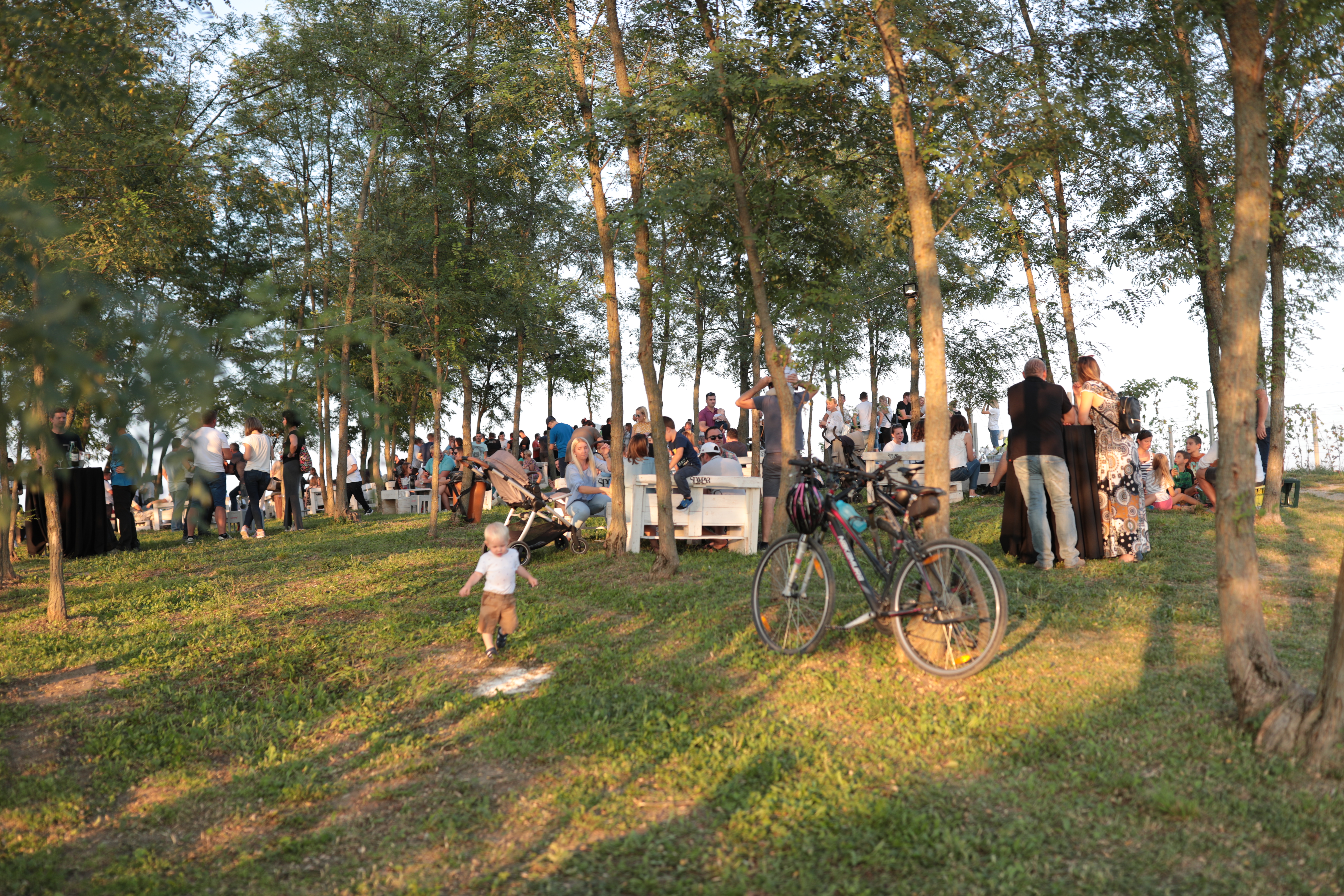 Oaza okusa na Mađerkinom bregu kod Štampara