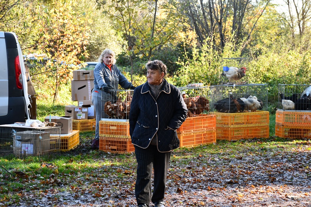 IMA SVEGA I SVAČEGA Čakovečki sajam srijedom (8.11.2023.)