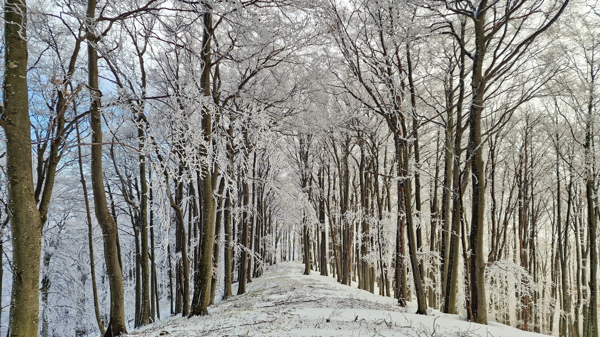 Image 5565697 (auto)