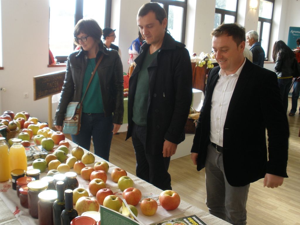 svjetskejabuke13415260