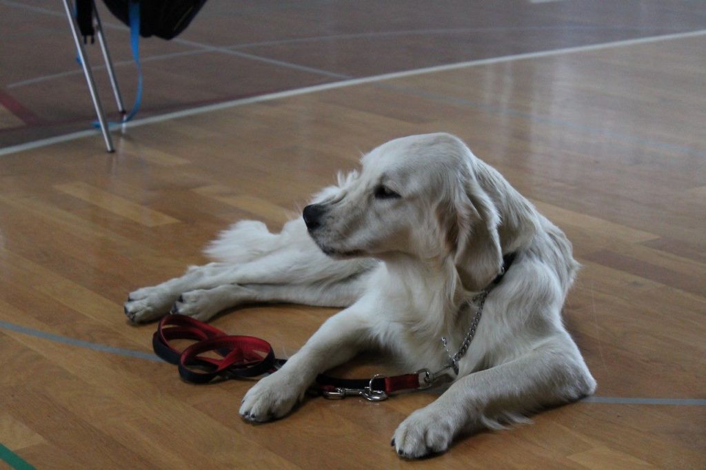 1456646953620990323824720941850