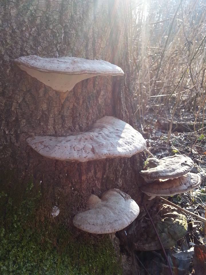 1224124354520276232489969375146