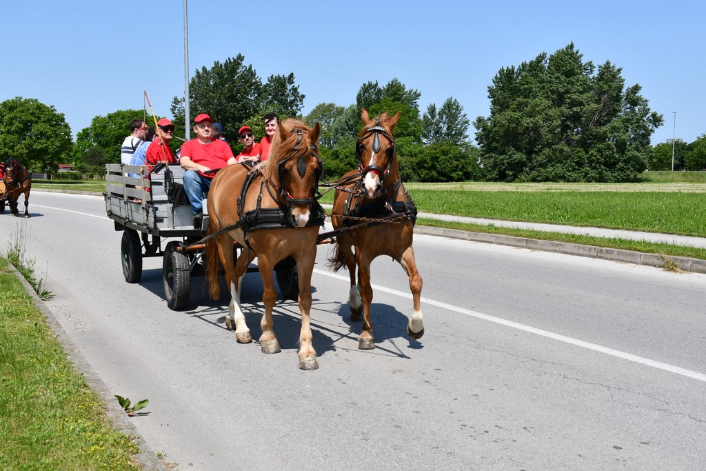 VIDEO I FOTO Međunarodno konjičko druženje okupilo brojne uzgajivače konja iz SZ Hrvatske te Slovenije i Austrije