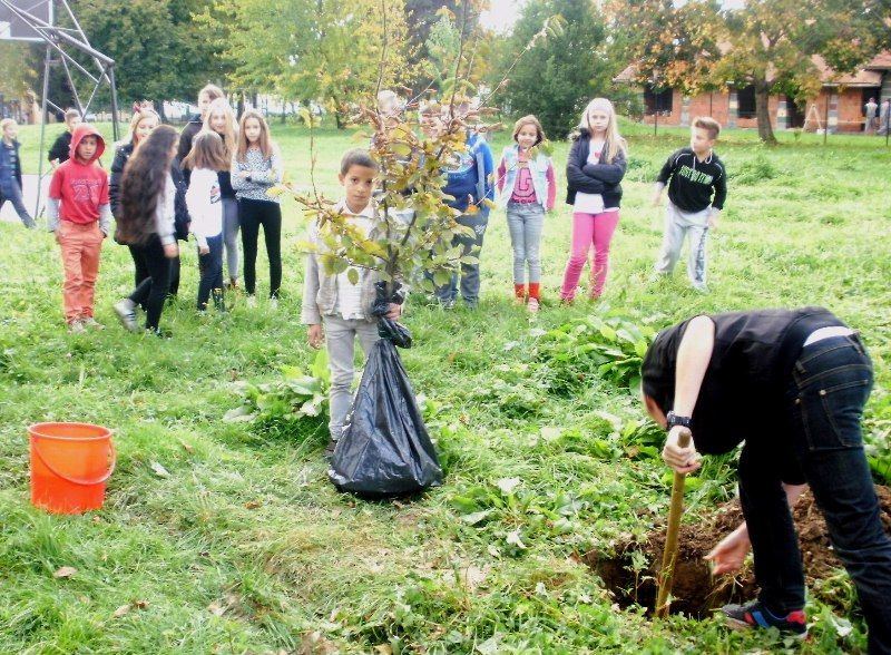 etwinningtreepribislaveccroatia