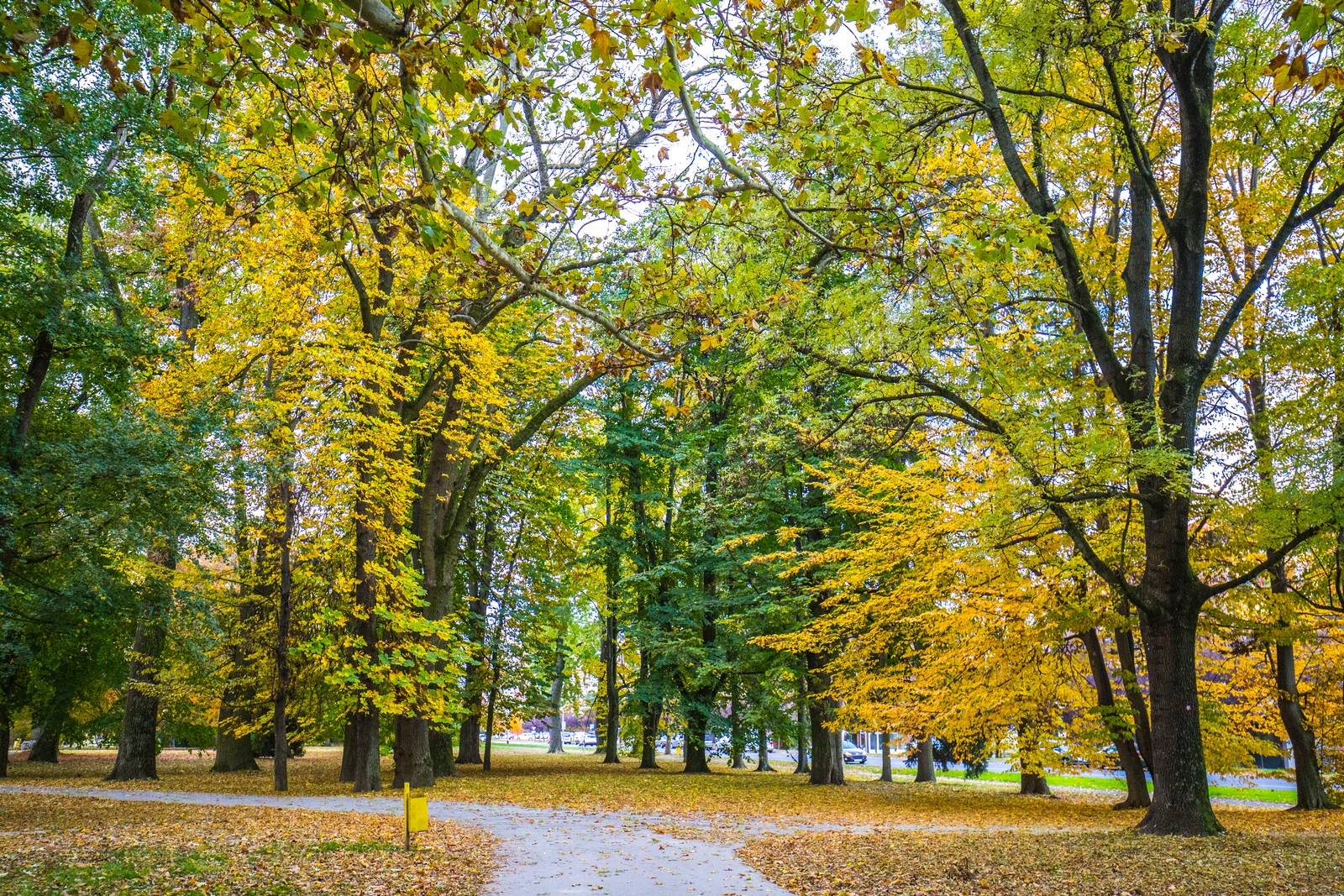 Čarobna jesen: Naša Miroslava Novak prošetala je čakovečkim parkom i snimila šarenilo jesenskih boja. Predivno, zar ne? (y) :-)