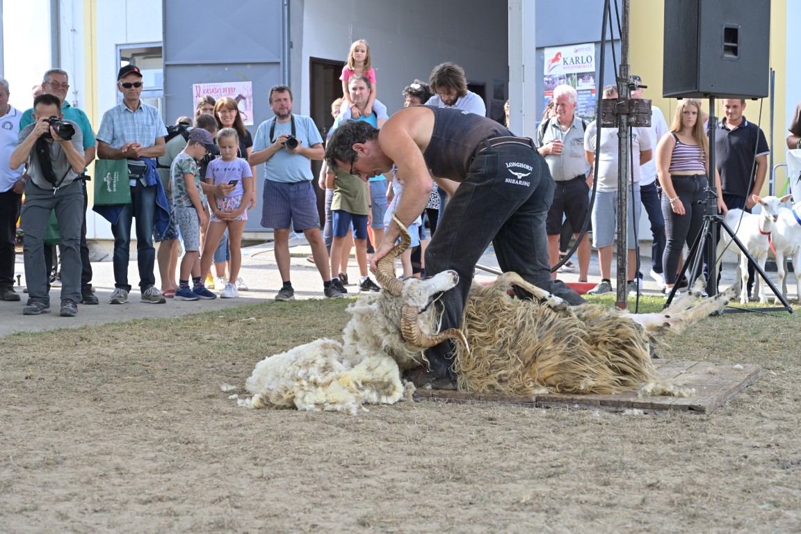 Image 5803645 (auto)