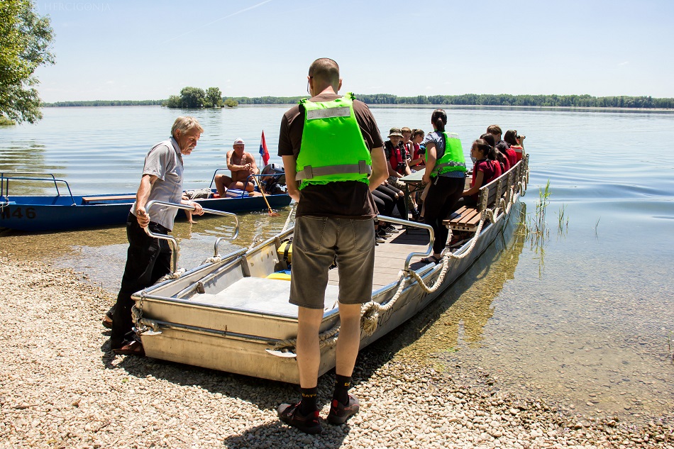 PRELOG Održana radionica o pticama našeg kraja