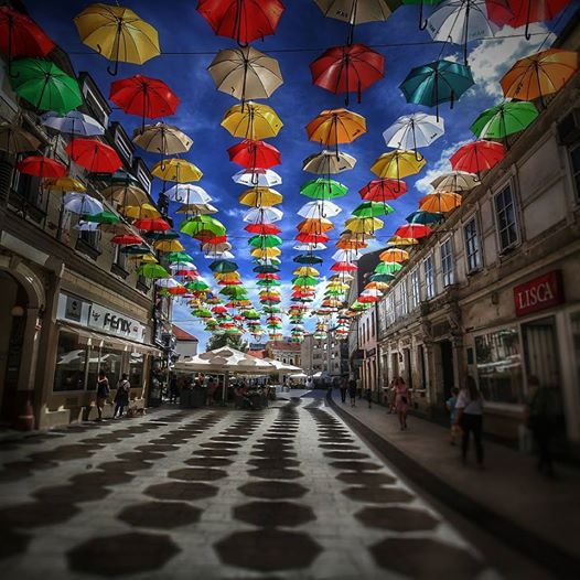 2025849210212575590601693651719