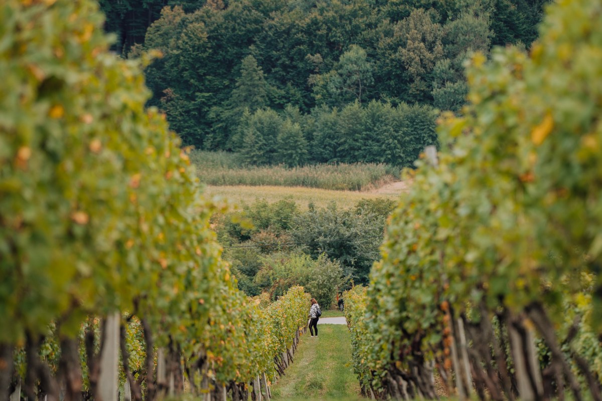 Image 5076590 (auto)