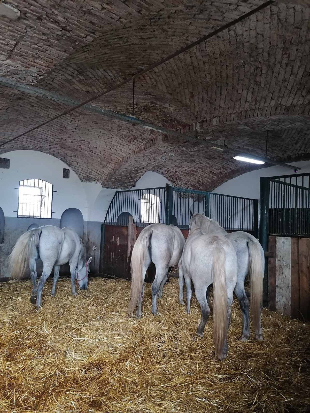 FOTO Studijsko putovanje naših branitelja i njihovih obitelji u Zapadnu Slavoniju