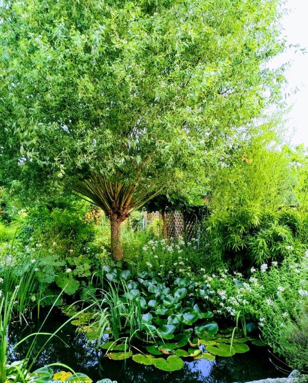 Biljno carstvo Vanje i Alena u Šenkovcu: Njihov vrt ‘Četiri godišnja doba’ mami poglede