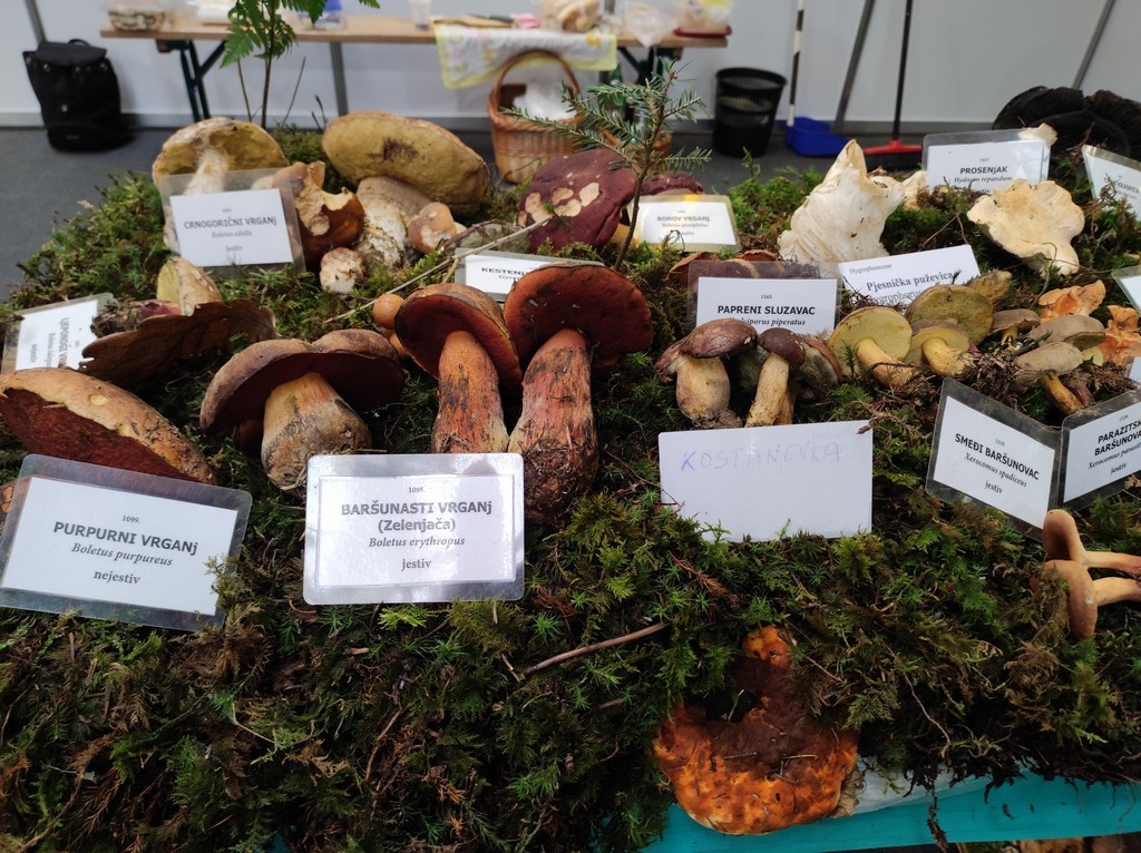 MESAP JESEN 2022 Više od 70 izlagača predstavlja se na sajamskoj manifestaciji u Nedelišću